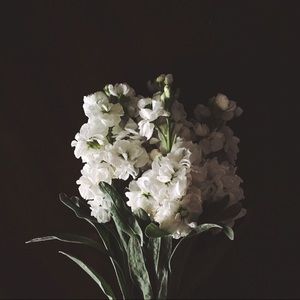 Meet your Posher, Faren